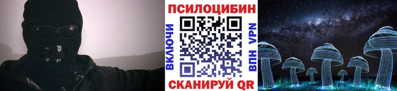 где купить наркоту  Грозный  Псилоцибиновые грибы ЛСД 